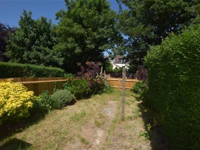 Picture 11